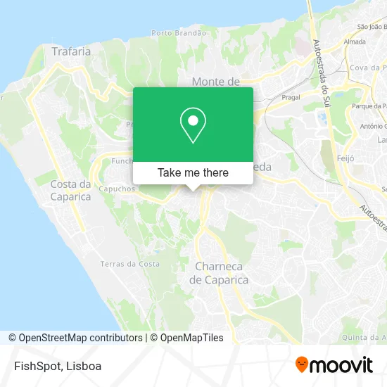 FishSpot map