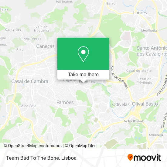 Team Bad To The Bone map