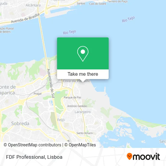 FDF Professional map