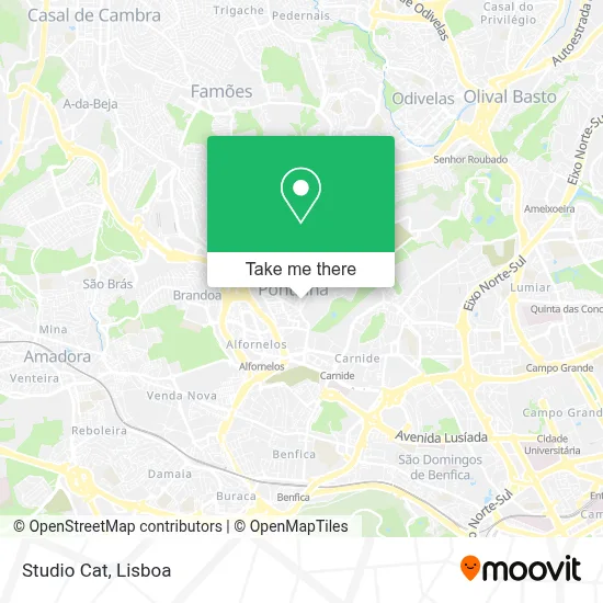 Studio Cat map