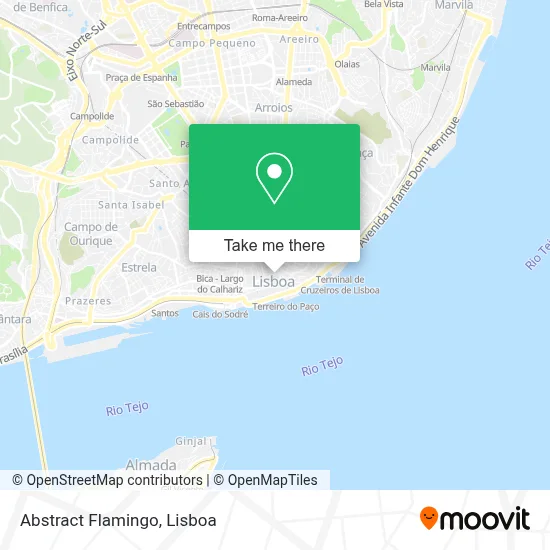 Abstract Flamingo map
