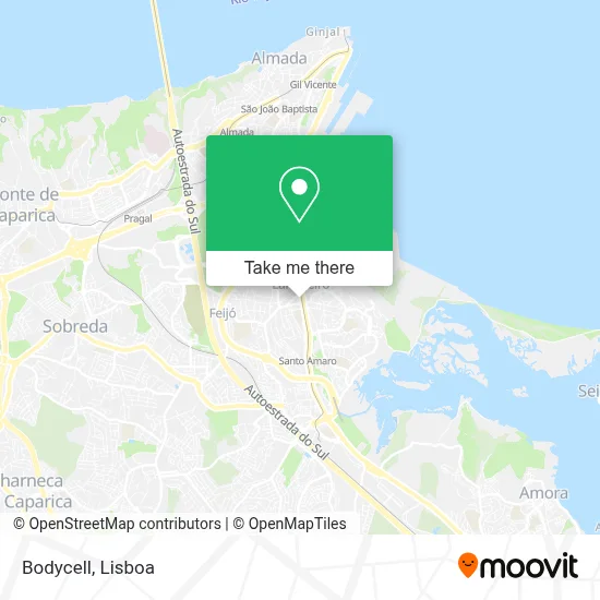 Bodycell map