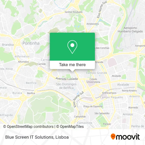 Blue Screen IT Solutions map
