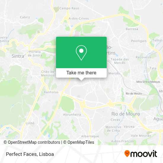 Perfect Faces map