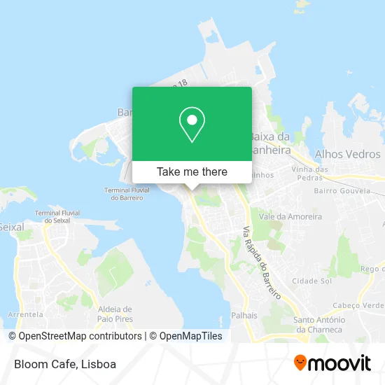 Bloom Caffe map