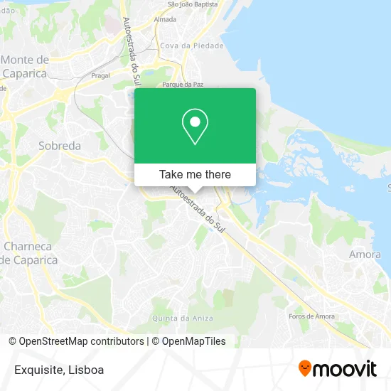 Exquisite map