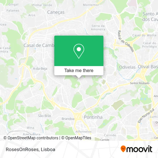 RosesOnRoses mapa