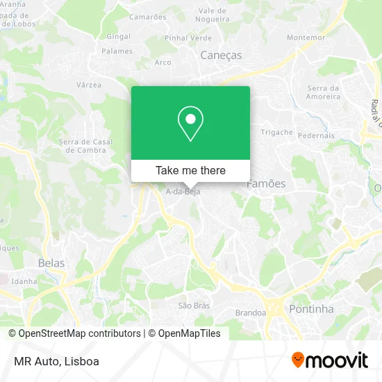 MR Auto map