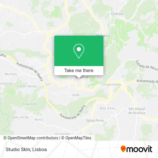 Studio Skin map