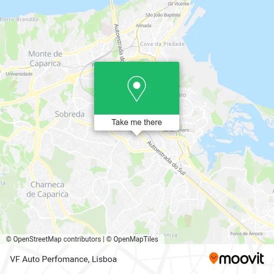 VF Auto Perfomance map
