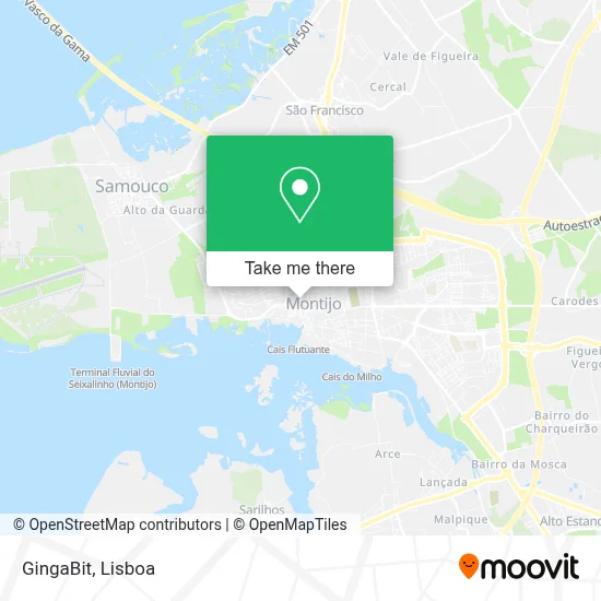 GingaBit map