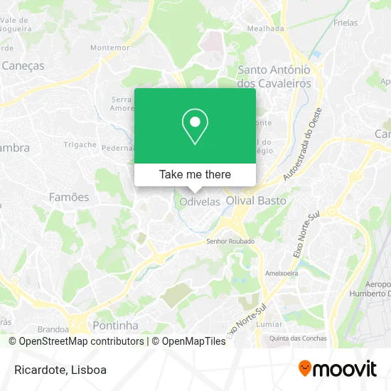 Ricardote mapa