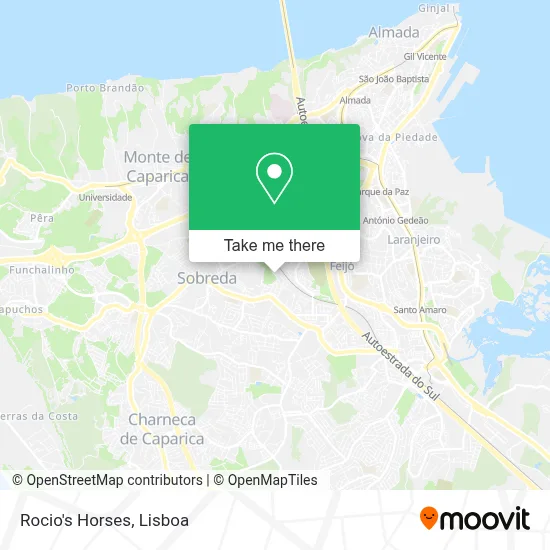 Rocio's Horses map