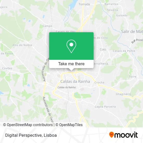 Digital Perspective map