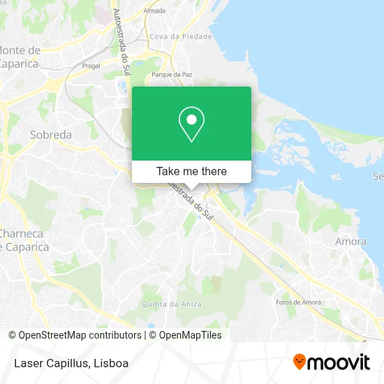 Laser Capillus map