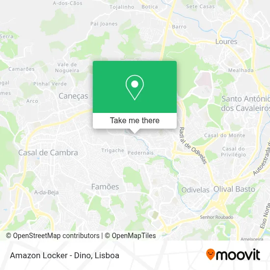 Amazon Locker - Dino map