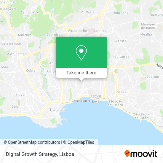 Digital Growth Strategy map