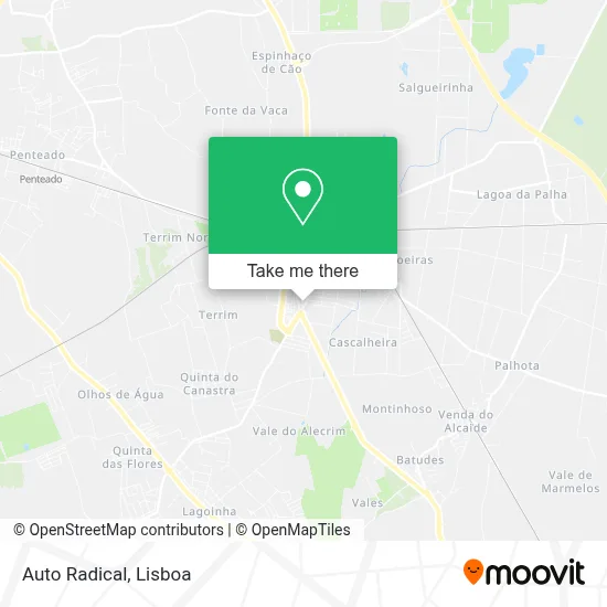 Auto Radical map