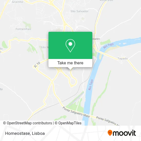 Homeostase map