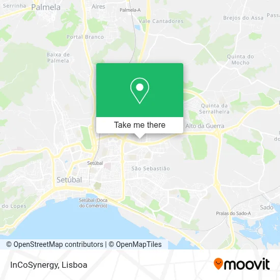 InCoSynergy map