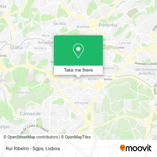 Rui Ribeiro - Sgps map