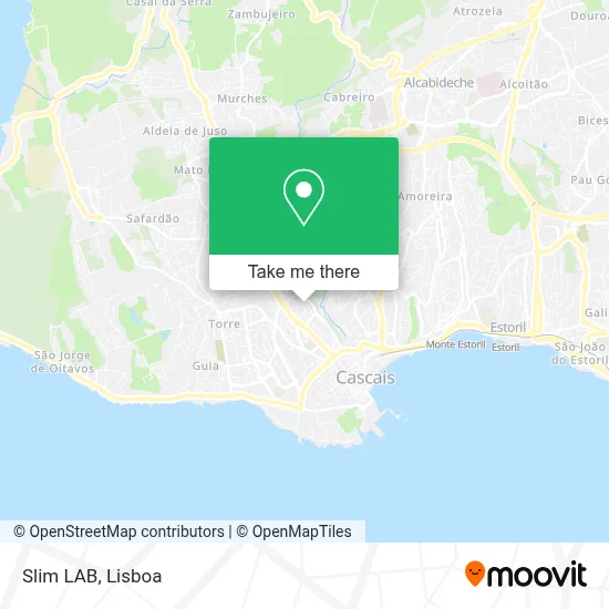 Slim LAB map