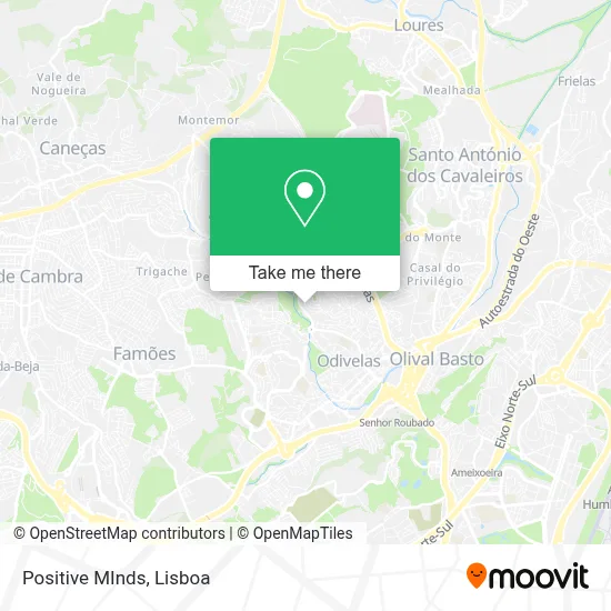 Positive MInds map