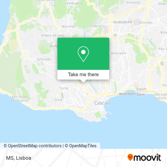 MS map