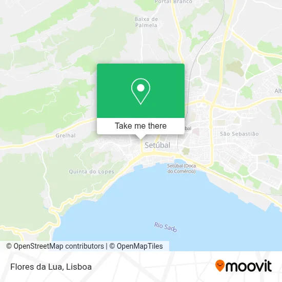 Flores da Lua map