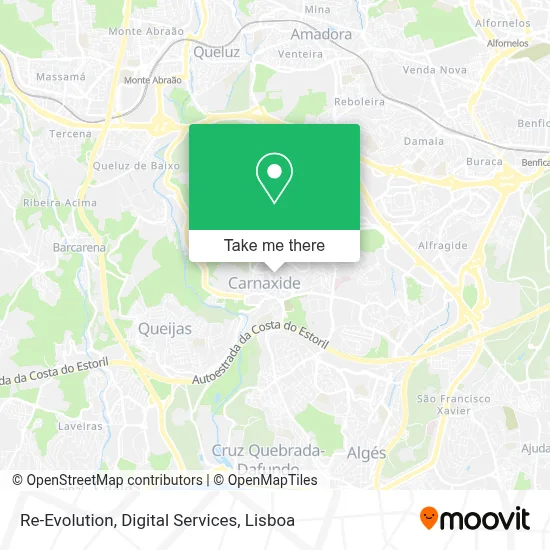 Re-Evolution, Digital Services map