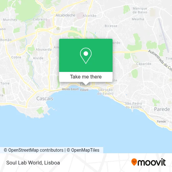 Soul Lab World map