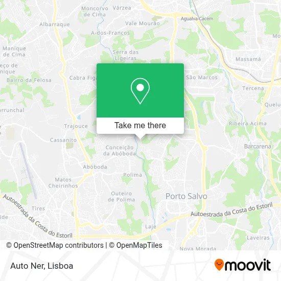 Auto Ner map