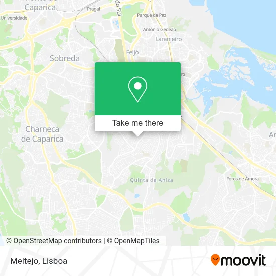 Meltejo map