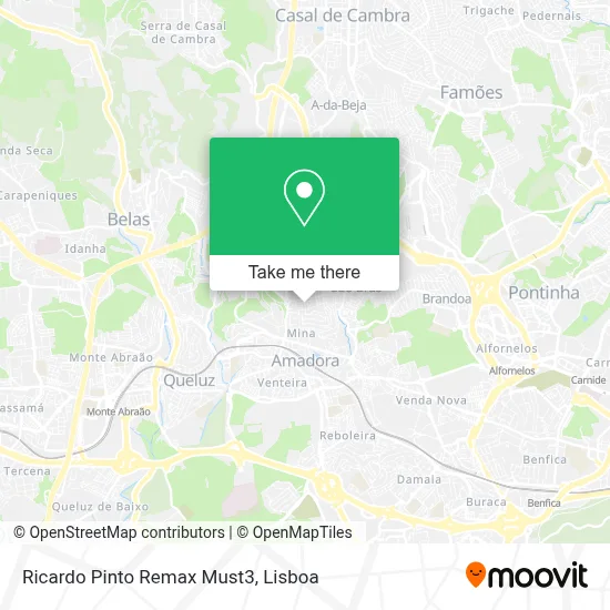 Ricardo Pinto Remax Must3 map