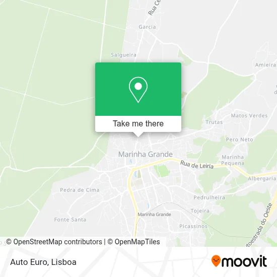 Auto Euro map