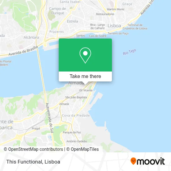 This Functional map