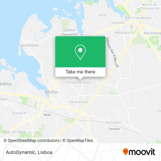 AutoDynamic map