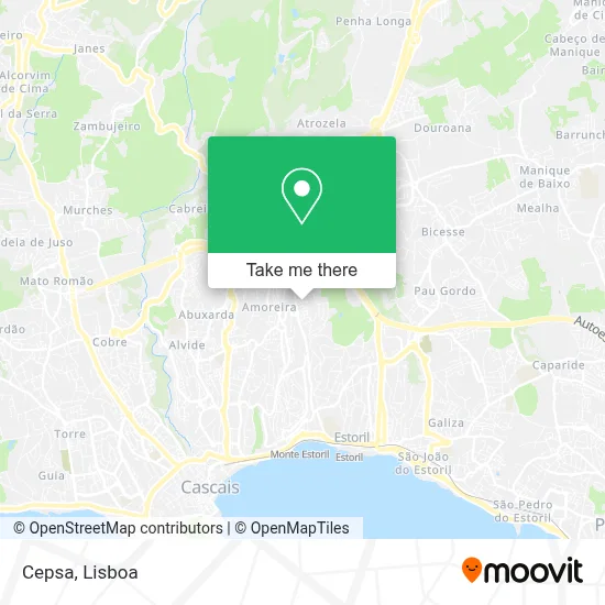 Cepsa map