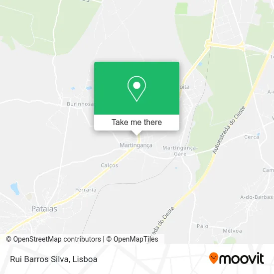 Rui Barros Silva map
