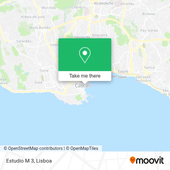 Estudio M 3 map