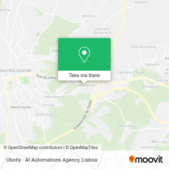 Obotly - AI Automations Agency map