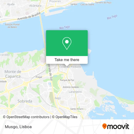 Musgo map