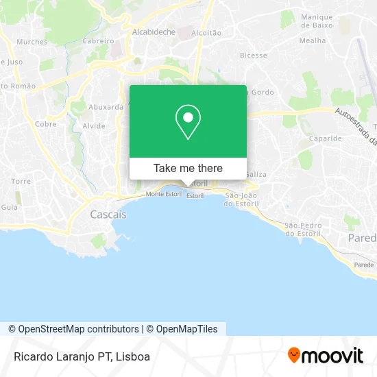 Ricardo Laranjo PT map