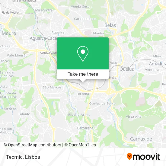 Tecmic map