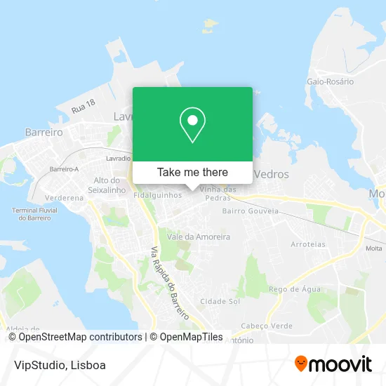 VipStudio map