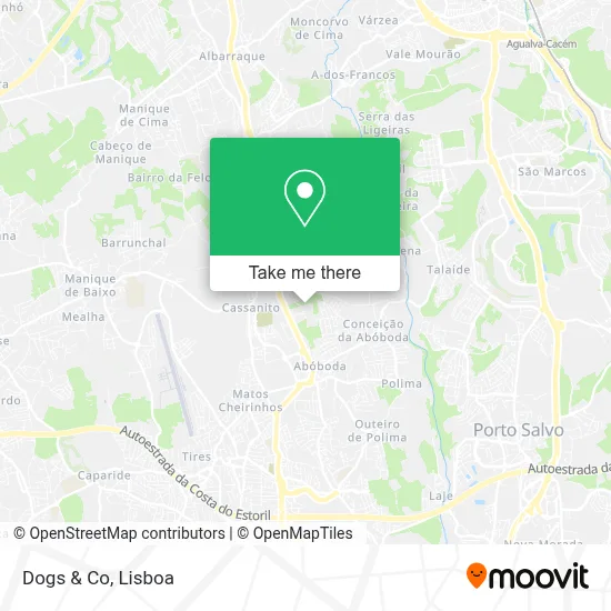 Dogs & Co map