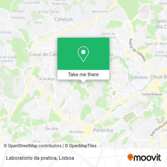 Laboratorio da pratica map