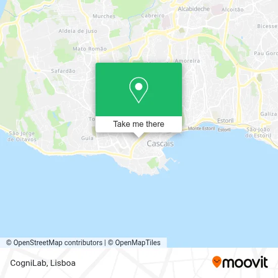CogniLab map