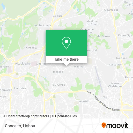 Conceito map