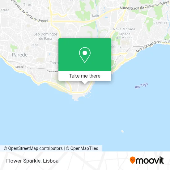 Flower Sparkle map